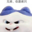飞肥废龙