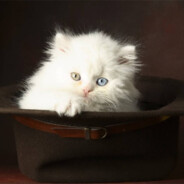 小博马枪怪小阳