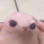 bingus