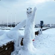 ViPeR :) LoVe ScOuT <3