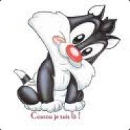 GROS MINET - steam id 76561197964485222