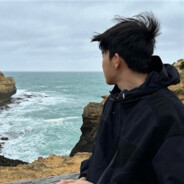 人间风月浅尝辄止.