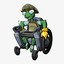 TurtleInWheelChair