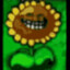 KrytoyChelic