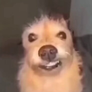 WW - steam id 76561198862691988