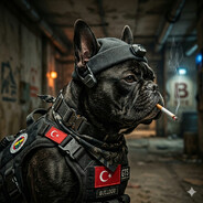 raul Steam avatar