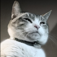 bahfuckyouallburninhell