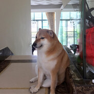 BigDadRon