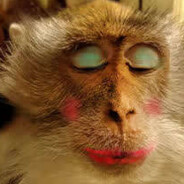 满山猴子我腚最红