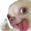 nOnO8ody