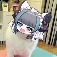 你算哪块小饼干