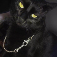 魔法少女郭德纲