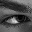 ✧  A L I V E  ✧