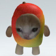 Kota.で