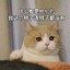 那就白给啊