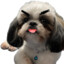 PaoPro