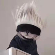 重生之无敌斌仔