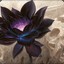 Black Lotus