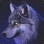 graywolf83