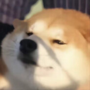 队友挨打我装聋