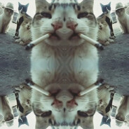 ♱TJ PRL♱
