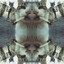 ♱TJ PRL♱