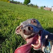 ►ZyK◄ hellcase.com