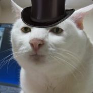 Exopaladin - steam id 76561197970942286