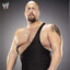 The Big Show