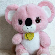 𝓟𝓔𝓜𝓑𝓔  KOALA