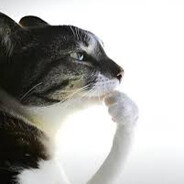 гусыня прайм