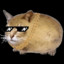 Usman_Shinobi