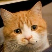 来左边跟我一起画个龙