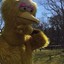 BigBird