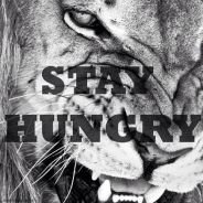 ๖ۜHafensänger♪♫