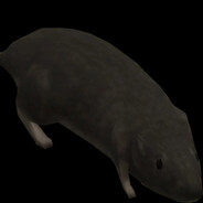 bir006
