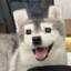 怕被打爆