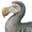 DoDo