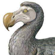 DoDo avatar