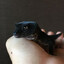 Avatar of Anomalous Gecko