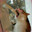 Classic