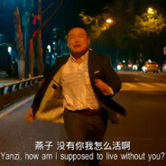 你带我走吧燕子