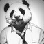 Mr.panda