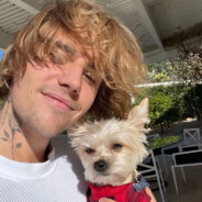 职业法师刘海柱