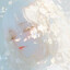 Avatar of delulu rabbit