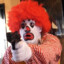 Ronald McDonald