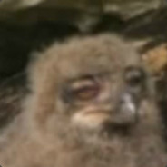 心态要平和哟！