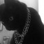 blazy