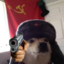 Comrade_Shibe