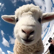 大绵羊o.O